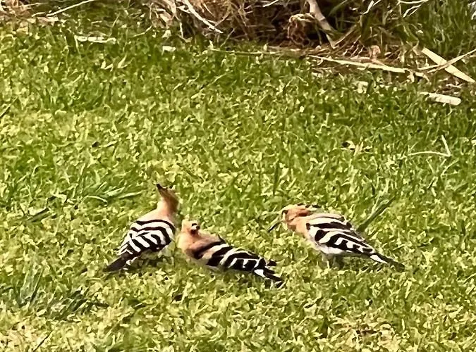 Lovely 2 Bedroom Inside A In 펜션 *