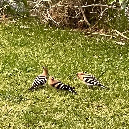 Lovely 2 Bedroom Inside A In Feriehus *